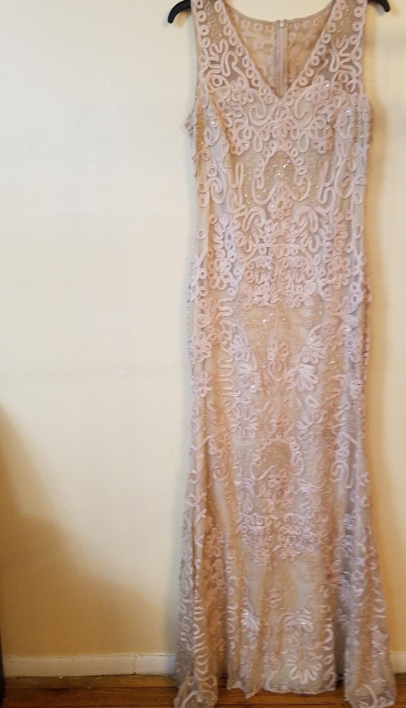 NWT JS Collection Dress